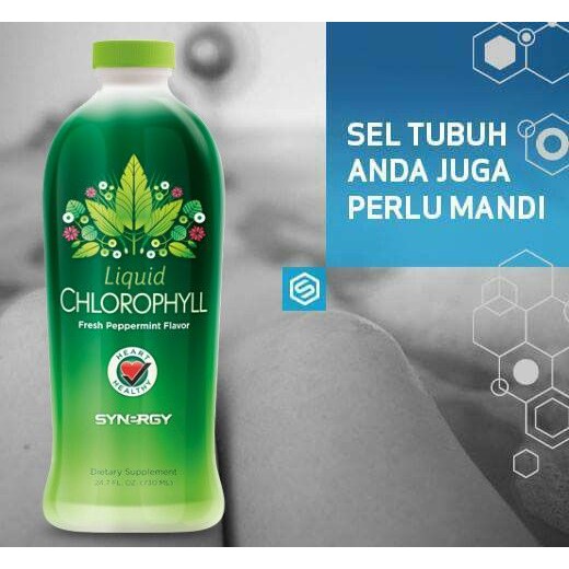 SUPLEMEN/HERBAL Penanganan Anemia (Klorofil + Spirulina Synergy)