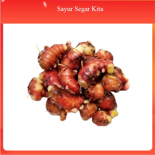 

Jahe Merah 250 gr