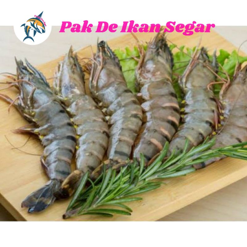 

Udang pancet/tiger/windu segar. 70-80 ekor/kg.