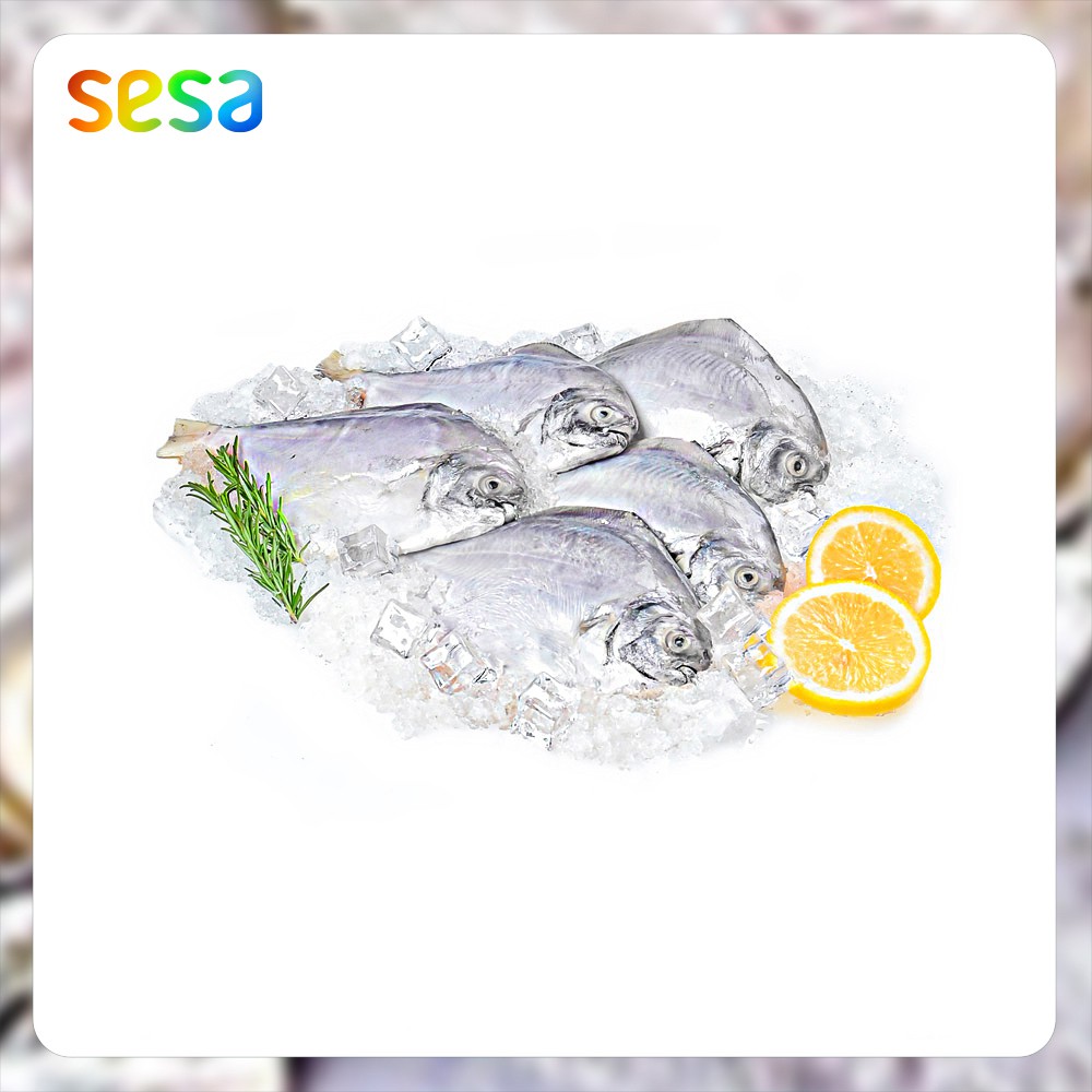 

Ikan Bawal Putih Beku 0.8-0.9 kg