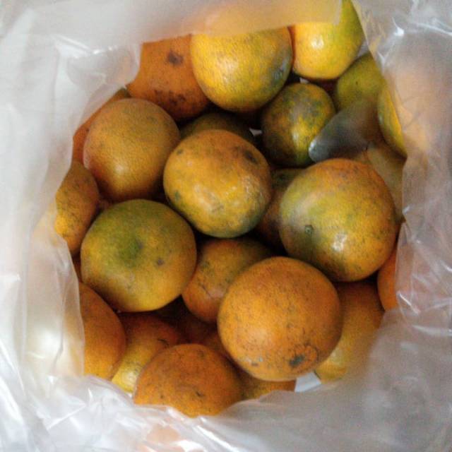 

jeruk manis super