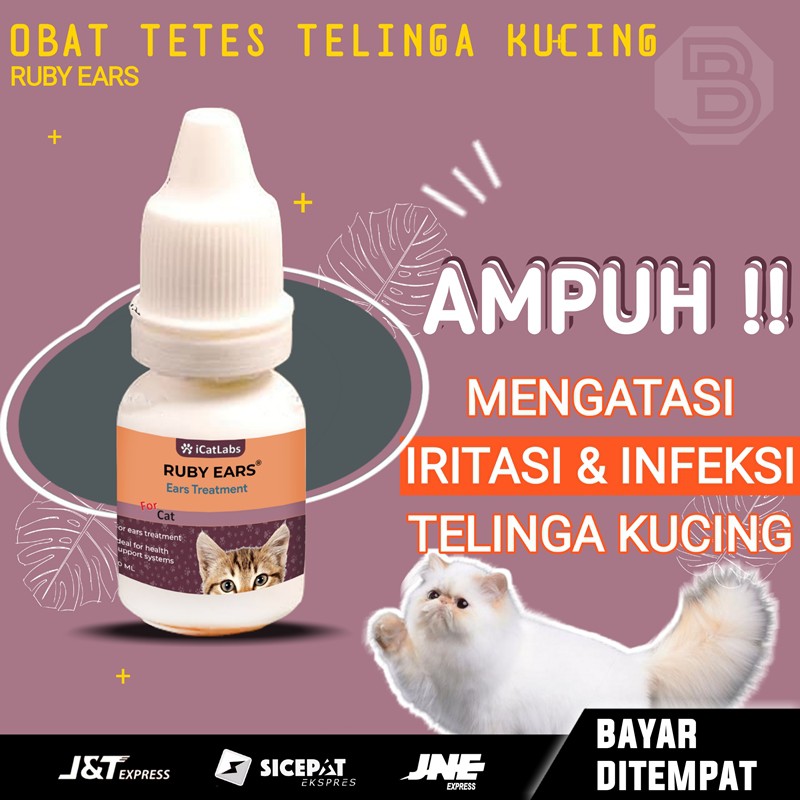 Obat Tetes Telinga Hewan Kucing Bengkak Anjing Bernanah