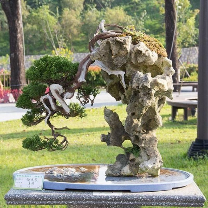 Batu karang gunung unik dan berkarakter untuk hiasan aquascape dan bonsai per 1 kg