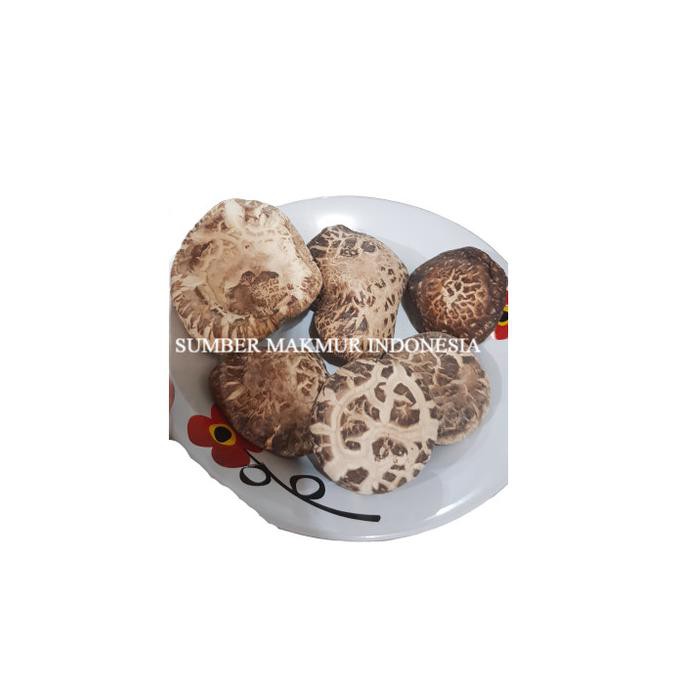 

TERMURAH JAMUR KERING SHITAKE/ HIOKO BESAR 100 GRAM- ECERAN Kode 1126