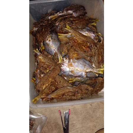 

Ikan dengdeng khas pulau seribu