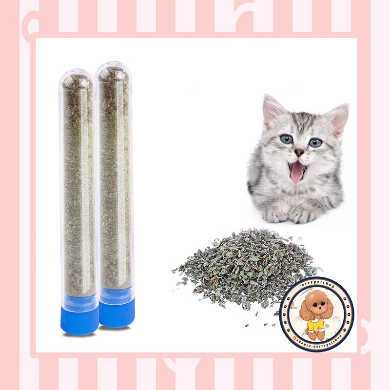 Catnip Mint 5ML Untuk Kucing