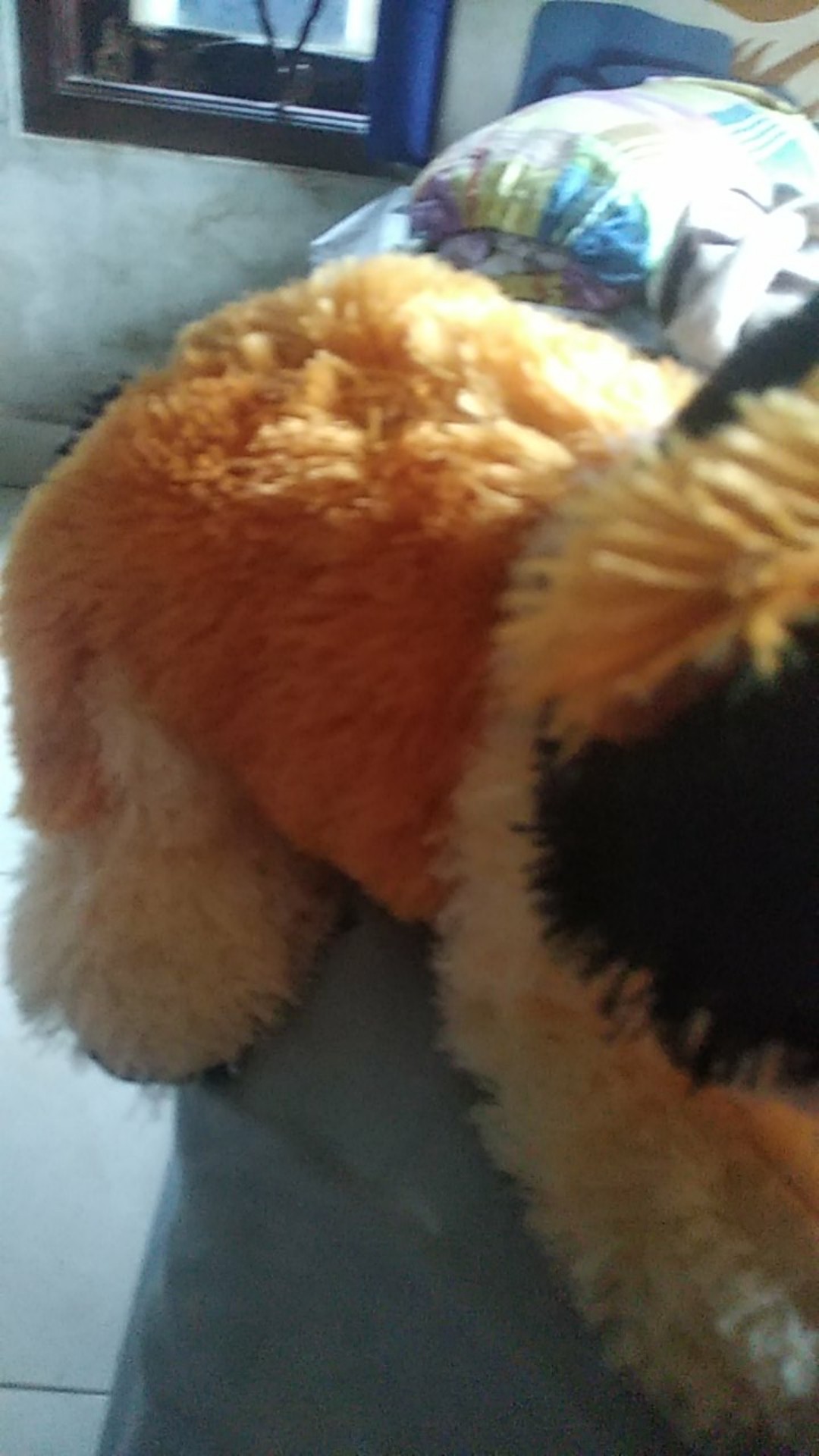 [ Mini ] Frying Pan Mini / Teflon Mini