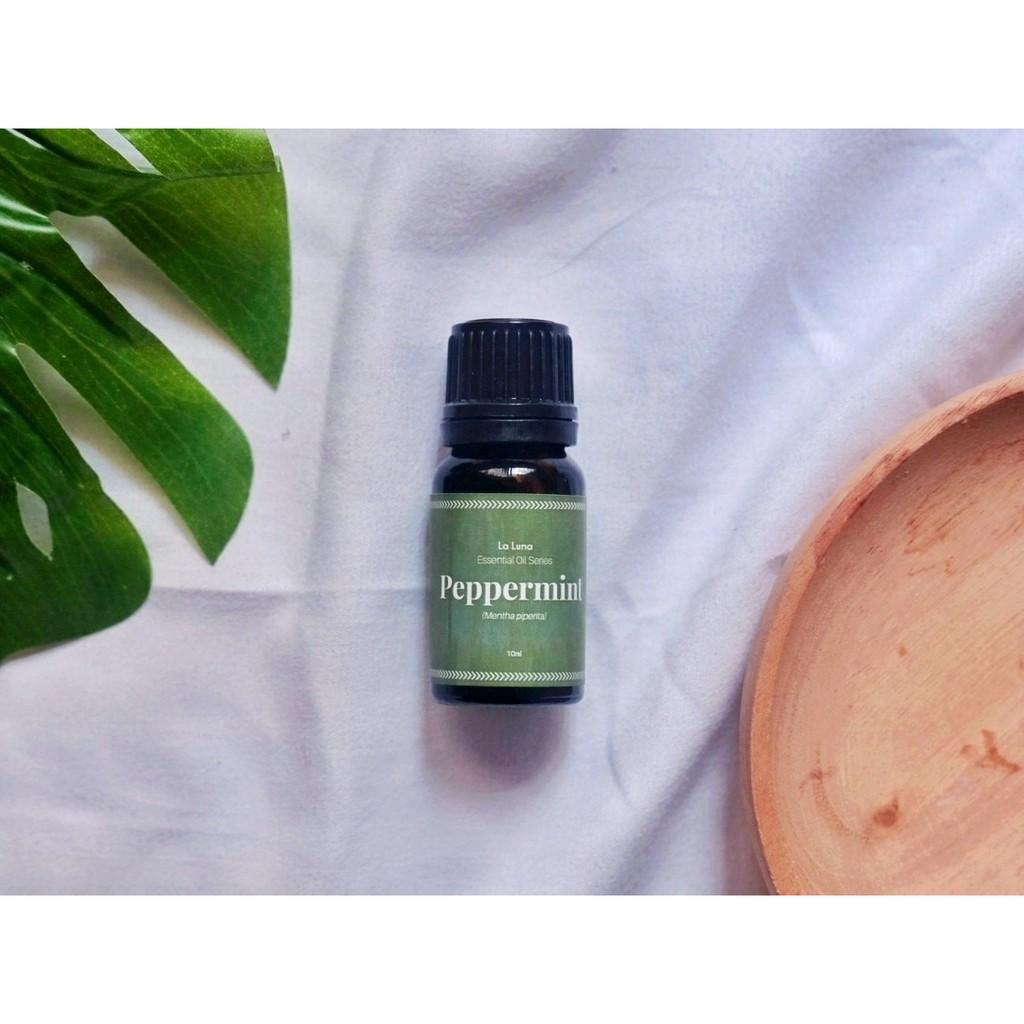 Jual Peppermint Essential Oil 10ml | Shopee Indonesia