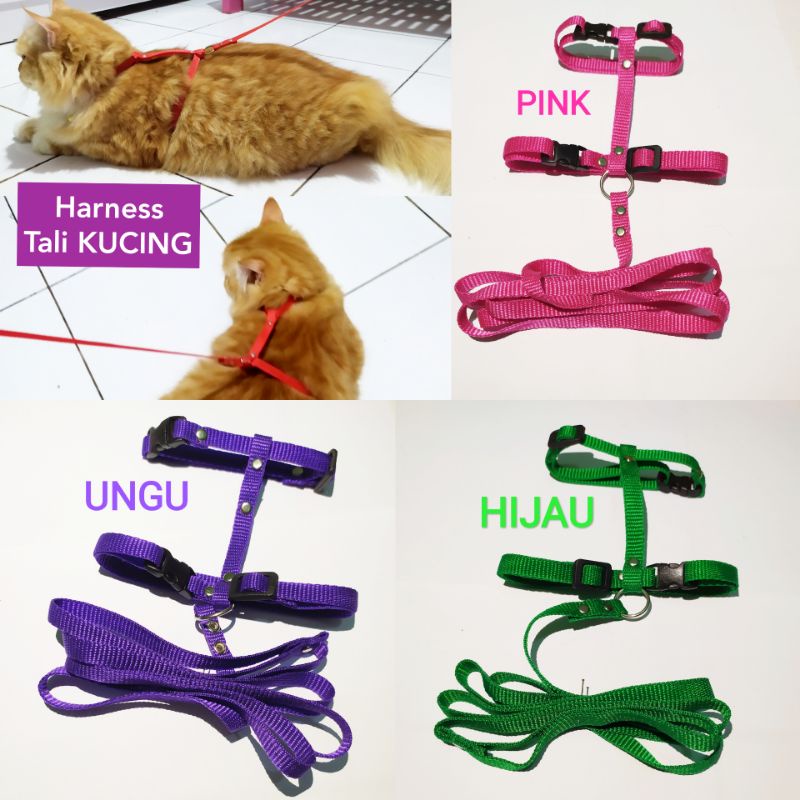 Tali tuntun kucing, harness, tali kucing