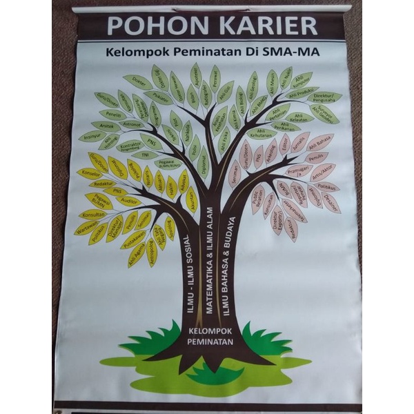 

Banner / poster pohon karier kelompok peminatan di SMA / MA bimbingan konseling