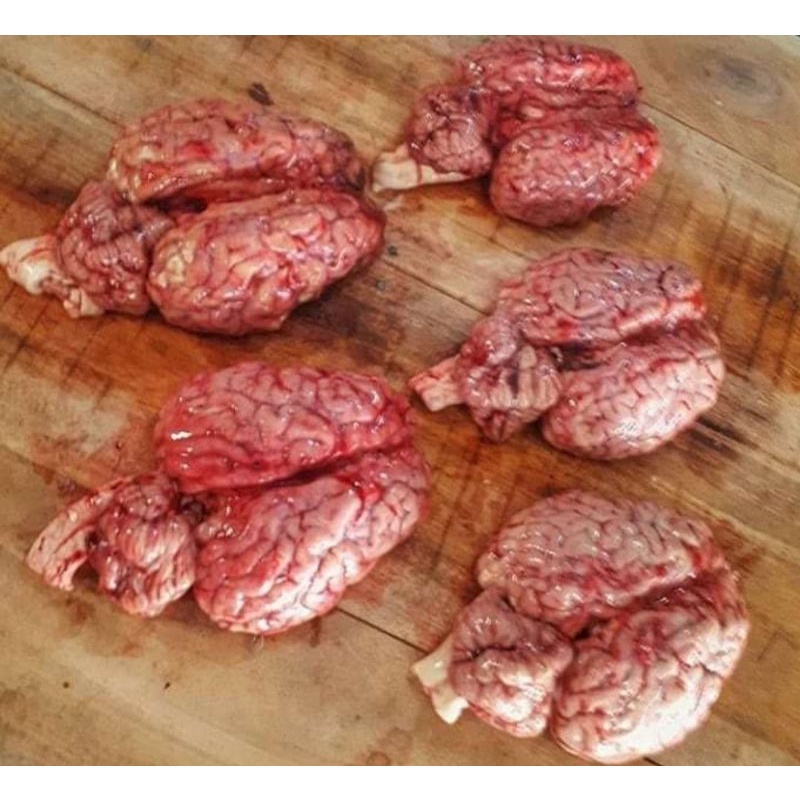 

otak sapi