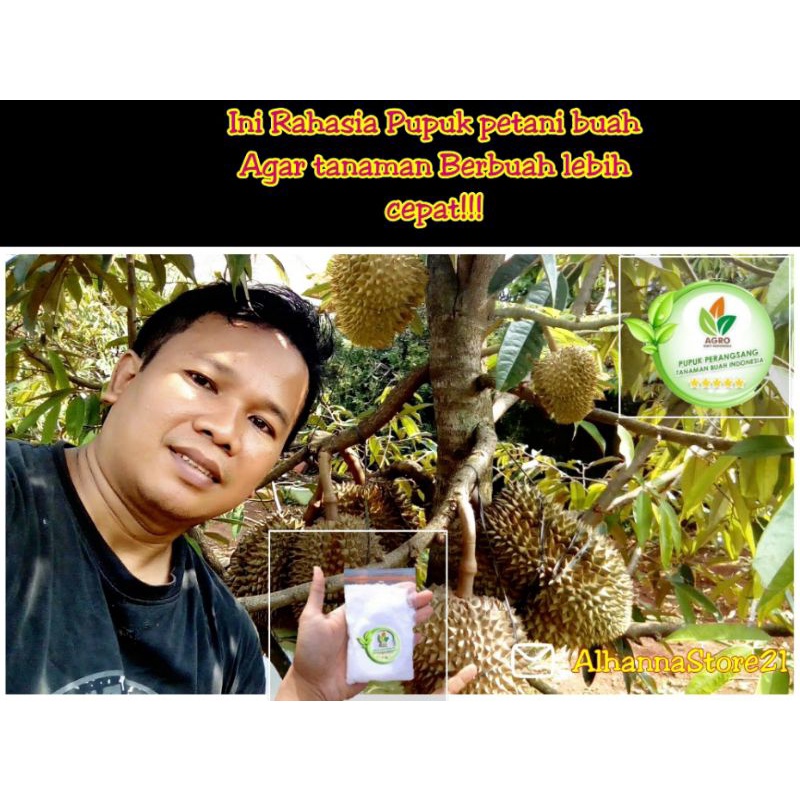 Pupuk Agro,Pupuk Agro bibit,pupuk pelebat buah,pupuk perangsang bunga dan buah,Pupuk pembungaan,pupu
