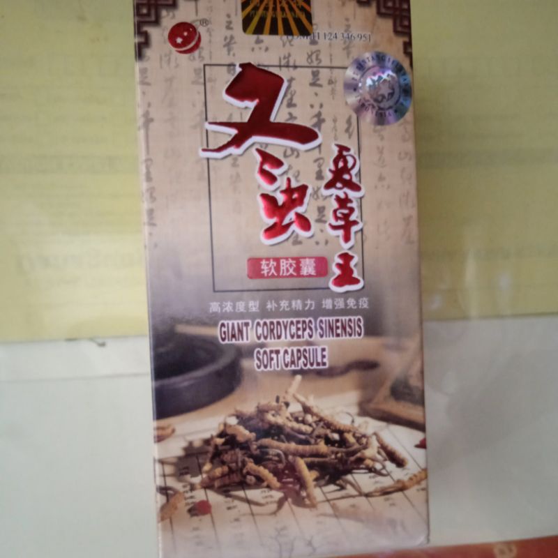 giant Cordyceps sinensis capsule