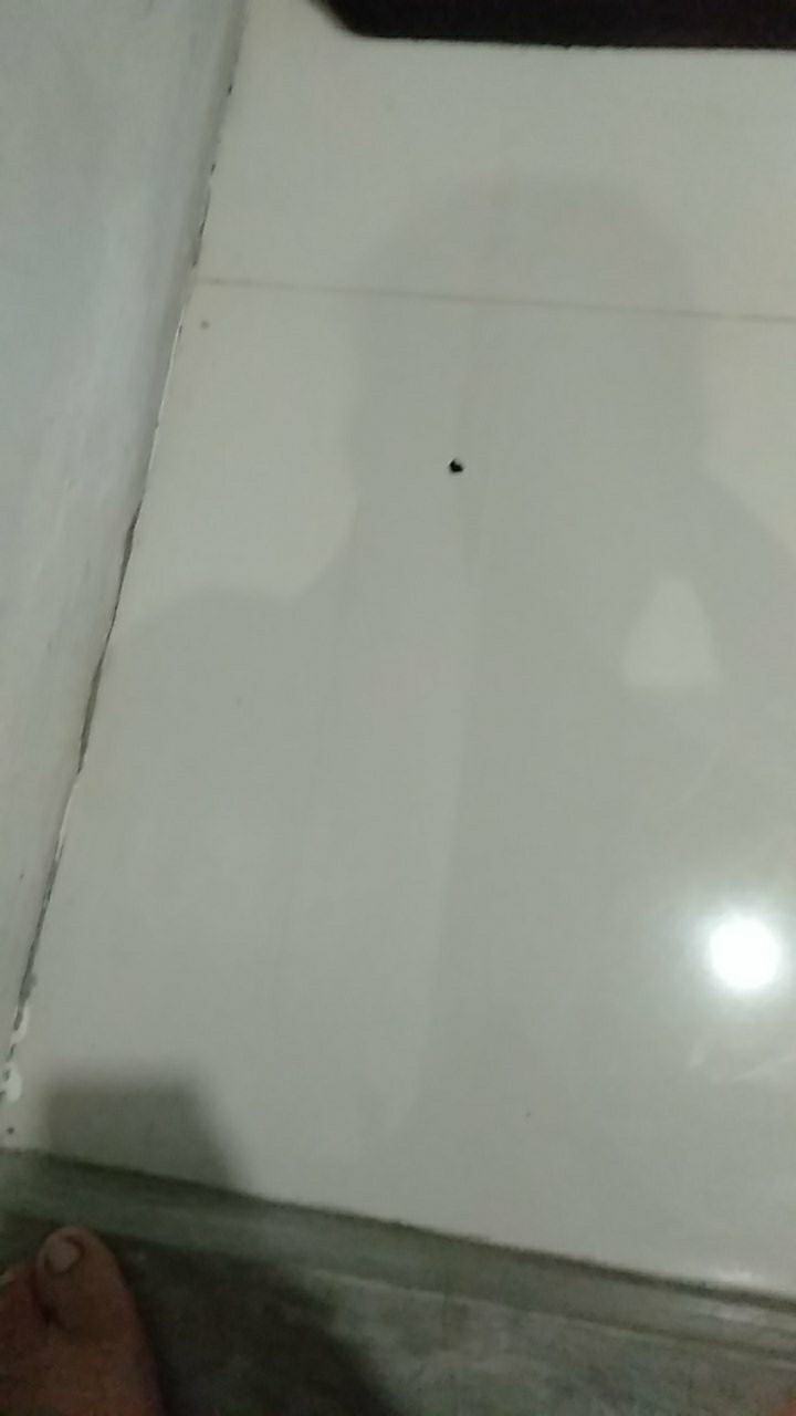 Tablet Pembersih Mesin Cuci / Deep Cleaning Washing / Penghilang Bau