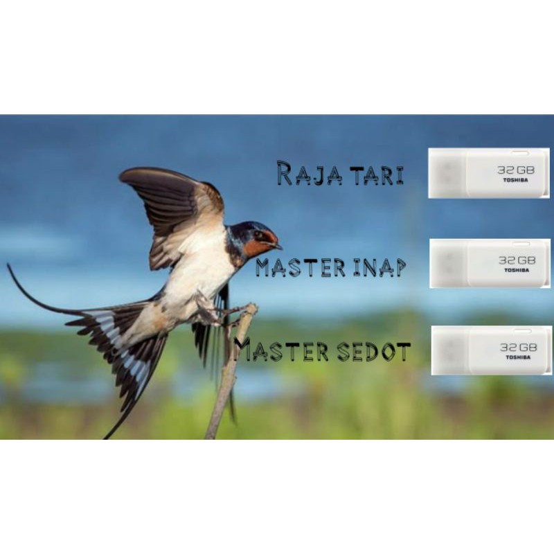 Paket Suara Walet Original/Suara Walet/Suara Walet Asli/Walet/Suara Original