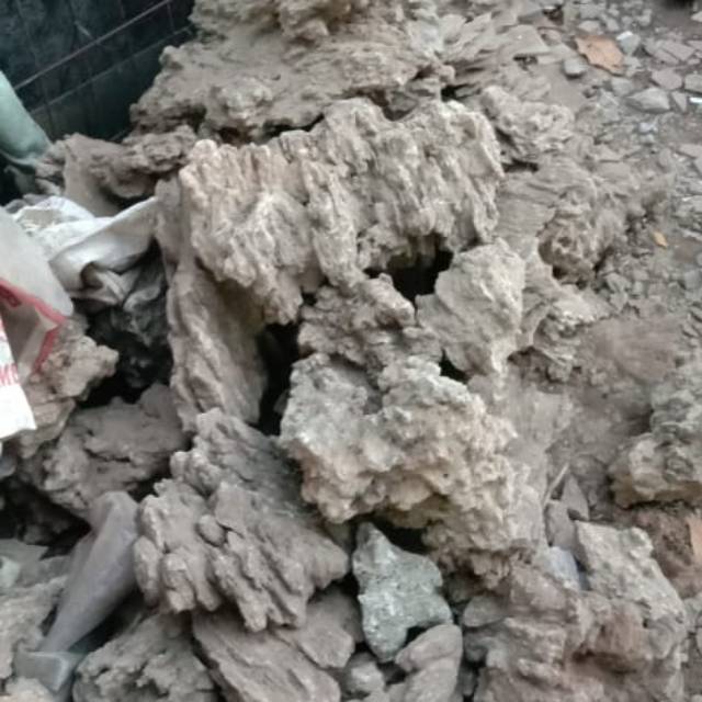 Batu pasir media untuk tebing pada aquascape atau paludarium