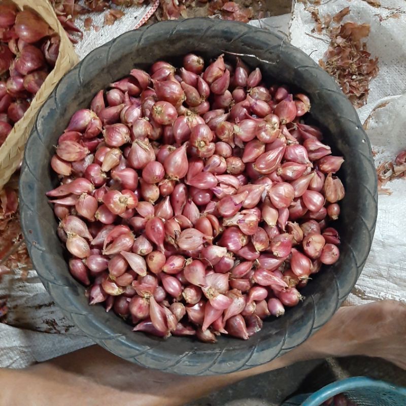 

bawang merah per kilo