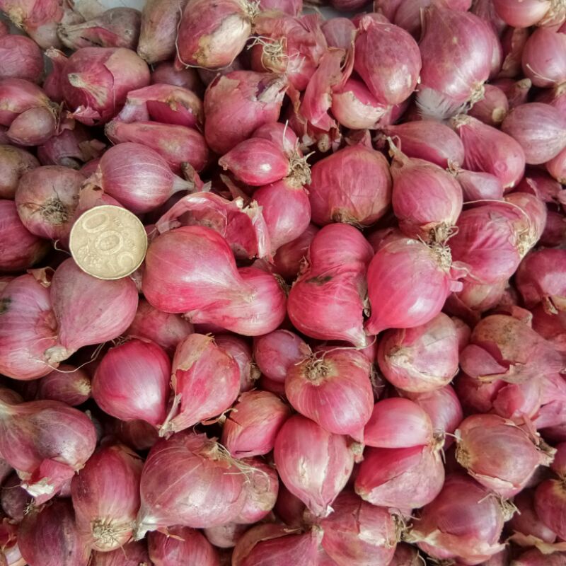 

Bawang Merah Super Murah