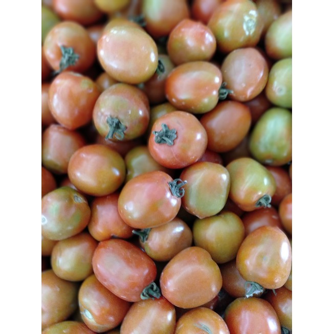 

Buah Tomat Merah Sayur Segar~Sayur Tomat Hijau segar sebanyak 3kg