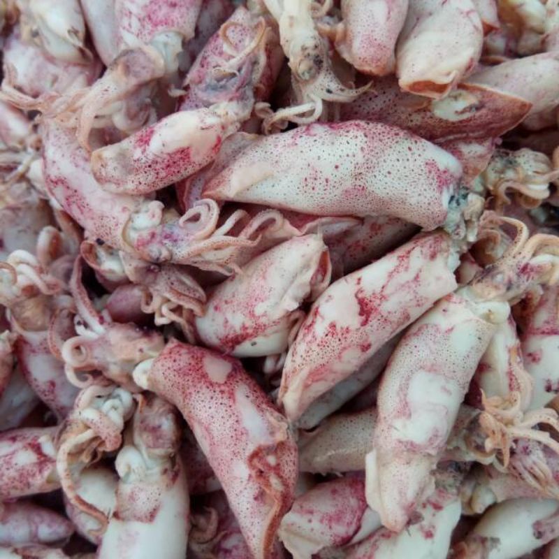 

Cumi Asin murah segar berkualitas 250gr