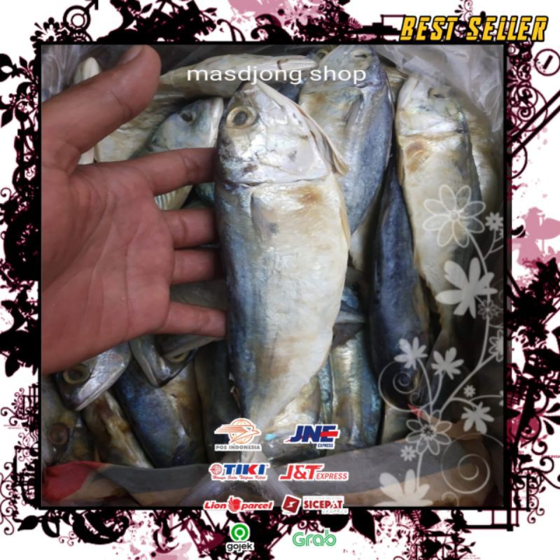 Jual Ikan Asin Peda Putih Jumbo Per Ekor Satuan Shopee Indonesia