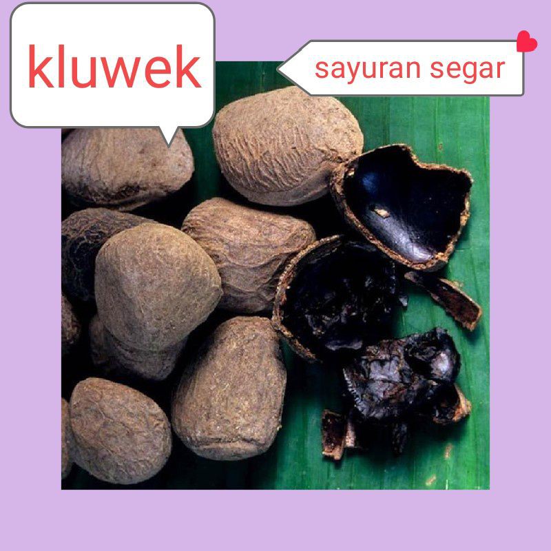 

KLUWEK