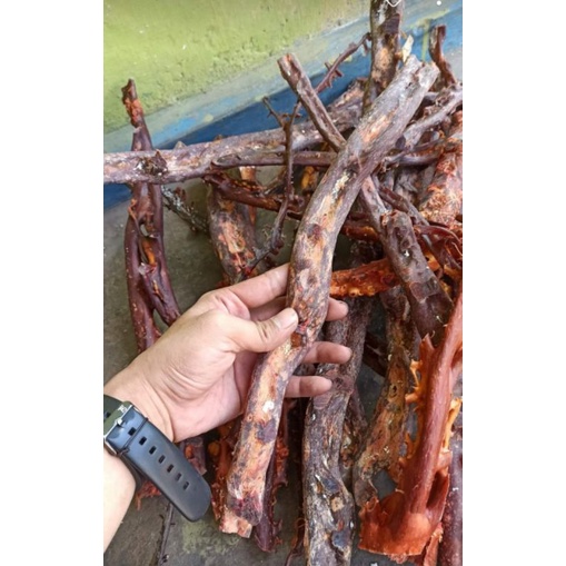 bahan akar bahar merah