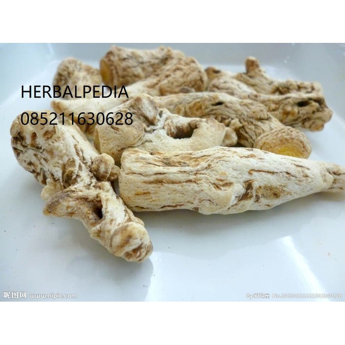 

当归头 dang gui tou 100 gram