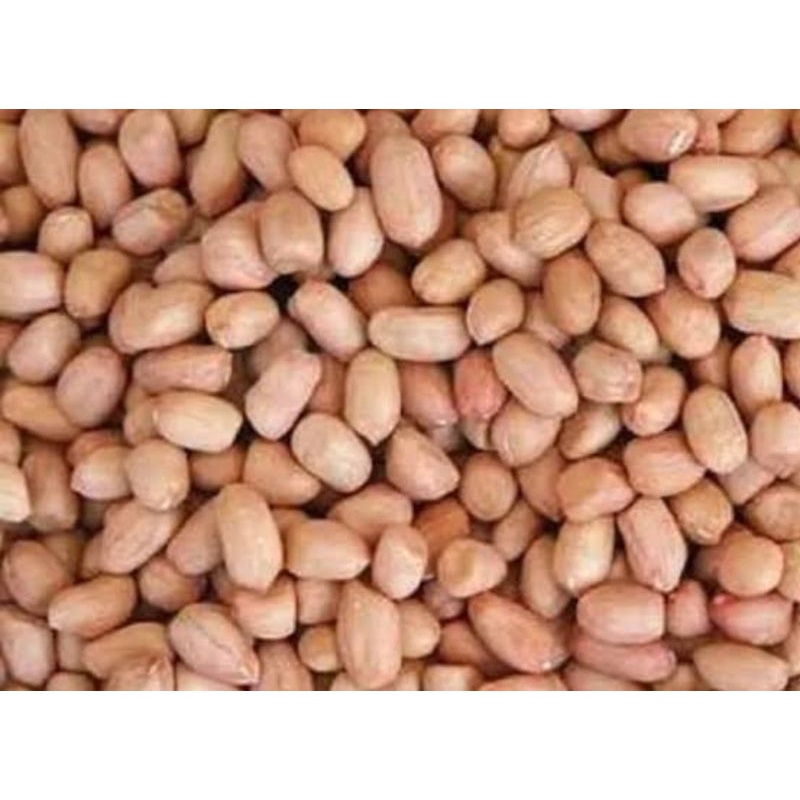 

Kacang tanah 250 gram