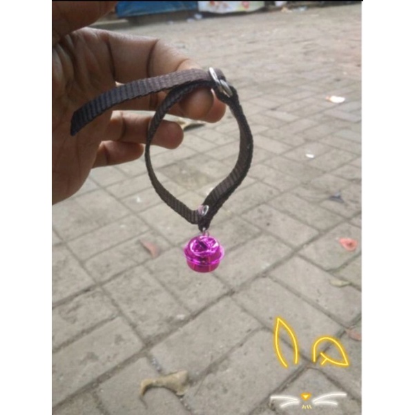 Kalung kucing lonceng