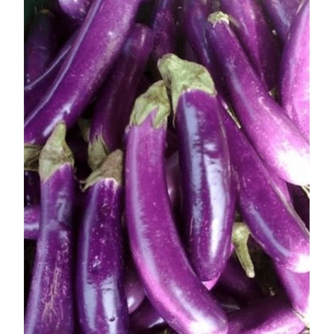 

Terong Ungu Segar per 500 grm SAYUR PRAKTIS ONLINE Bandung