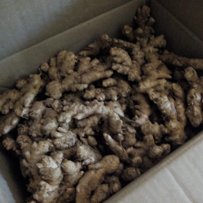 

Jahe Putih Fresh Jahe Emprit Segar Jahe Utuh Basah 500g