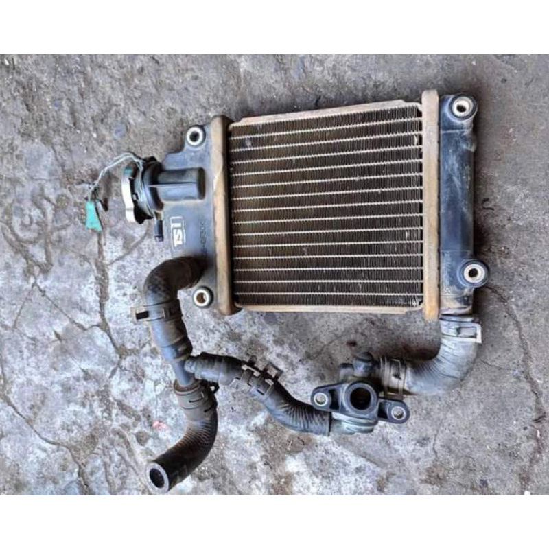 radiator Vario karbu 110 ori copotan