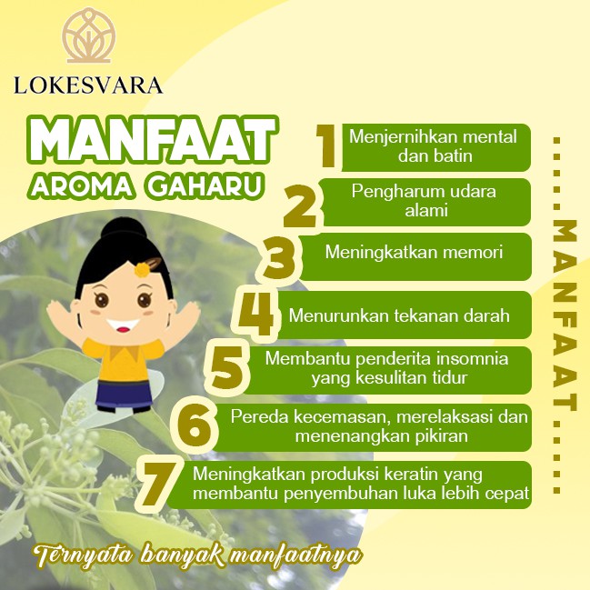 Dupa Hio Wangi Harum Sukhavati Gaharu Kalimantan 6 Jam 9 Batang Putih