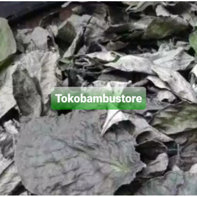 

Daun keji beling kering 200 gram natural-az