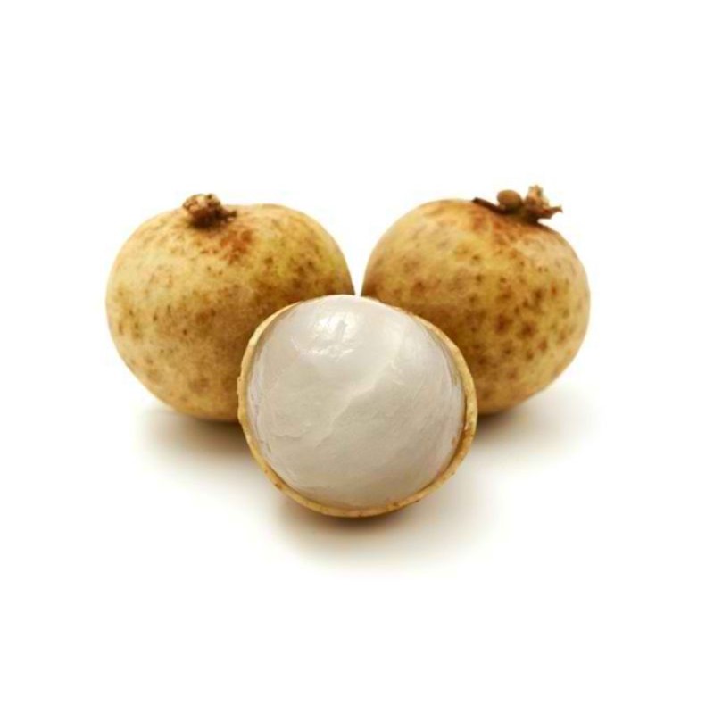 

Grosir Kelengkeng 500 gram