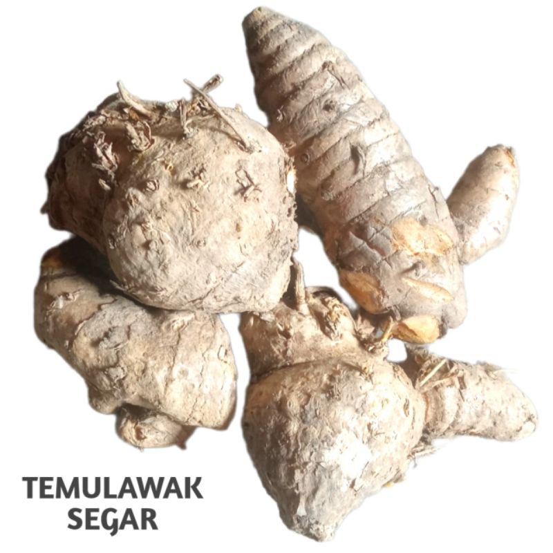 

Temulawak Segar 1 kg