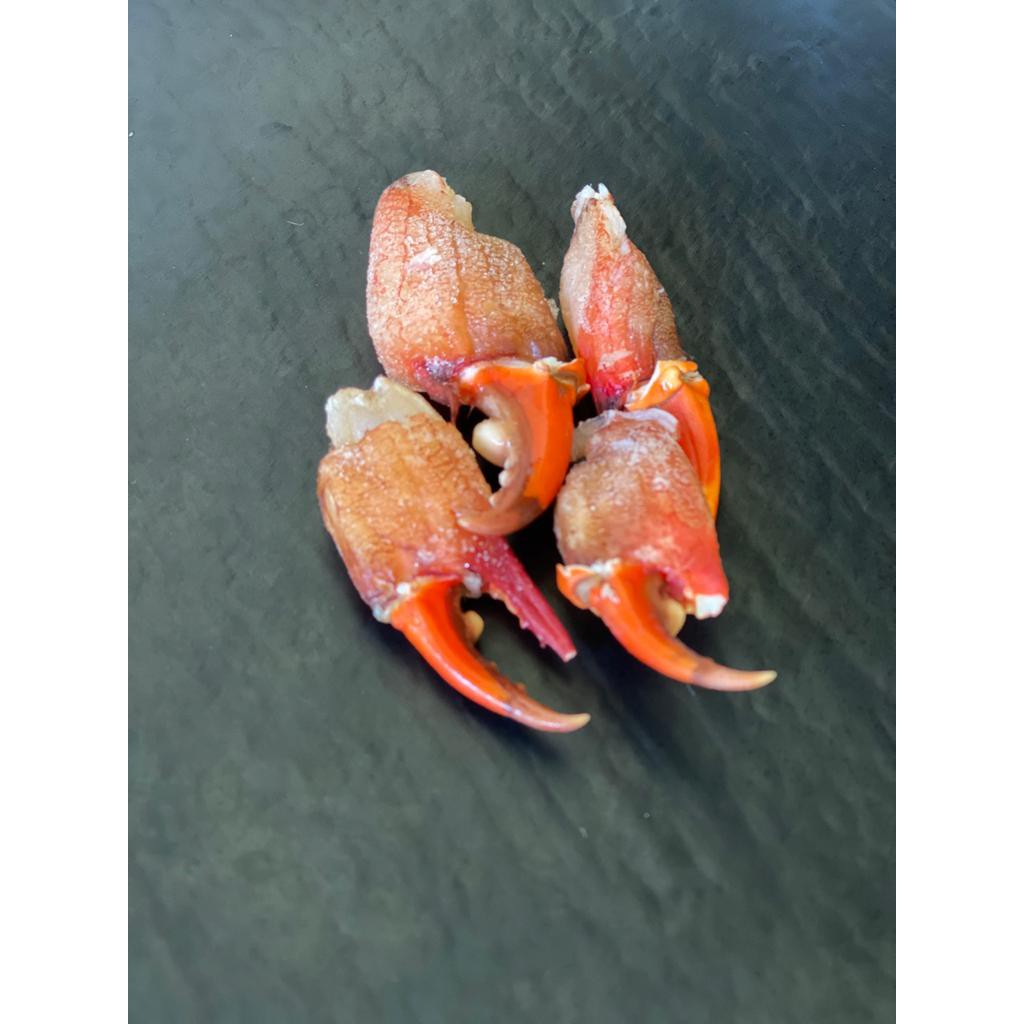 

Capit Kepiting