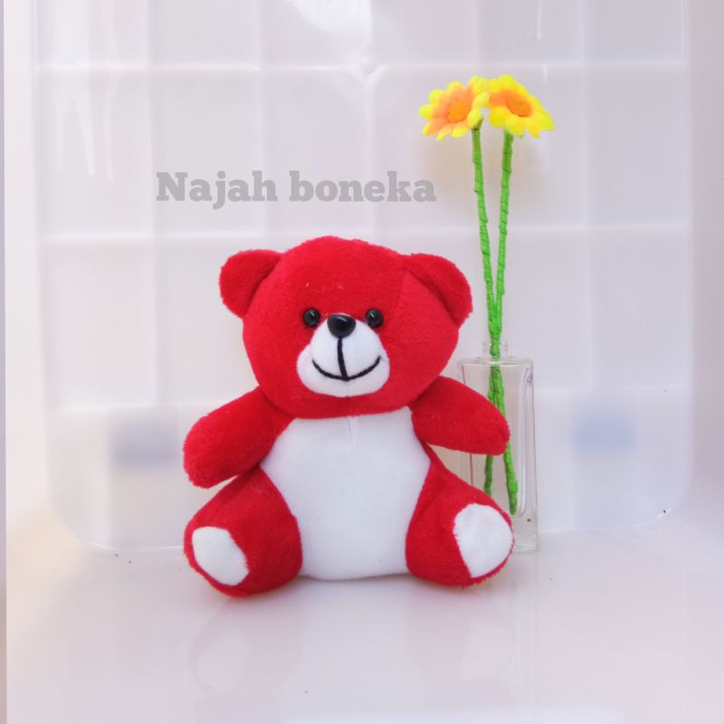 Bayar COD dirumah Boneka Bear Beruang Murah untuk wisuda/souvenir/bucket