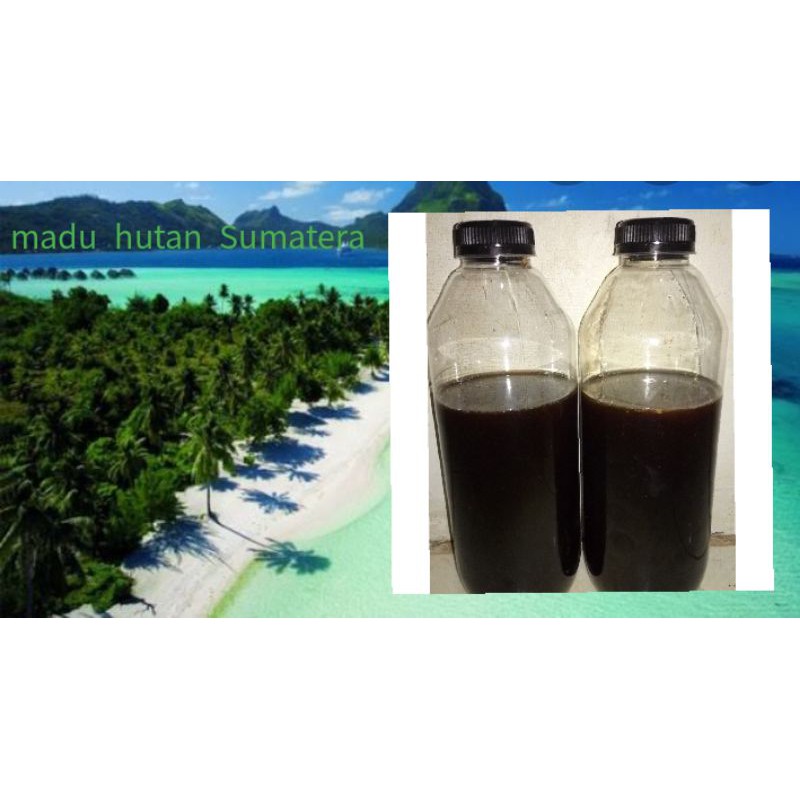 

MADU hutan Sumatera