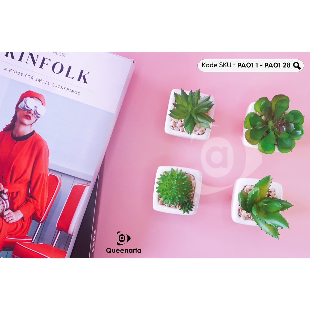 Queenarta Sukulen Mini Jenis Tanaman Kaktus dan Bunga Hias Plastik Pot Keramik Buat Dekorasi Rumah K