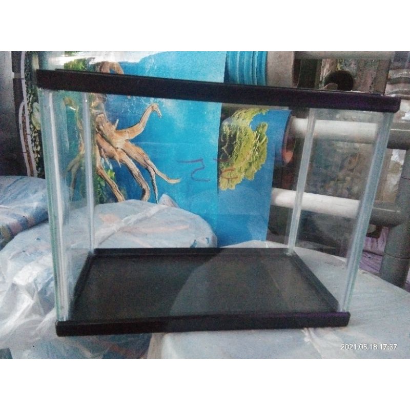 aquarium akrilik mini