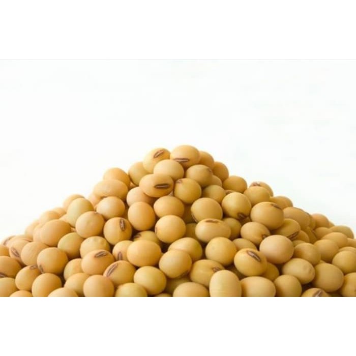 

Promo Kacang Kedelai 500 gr Murah