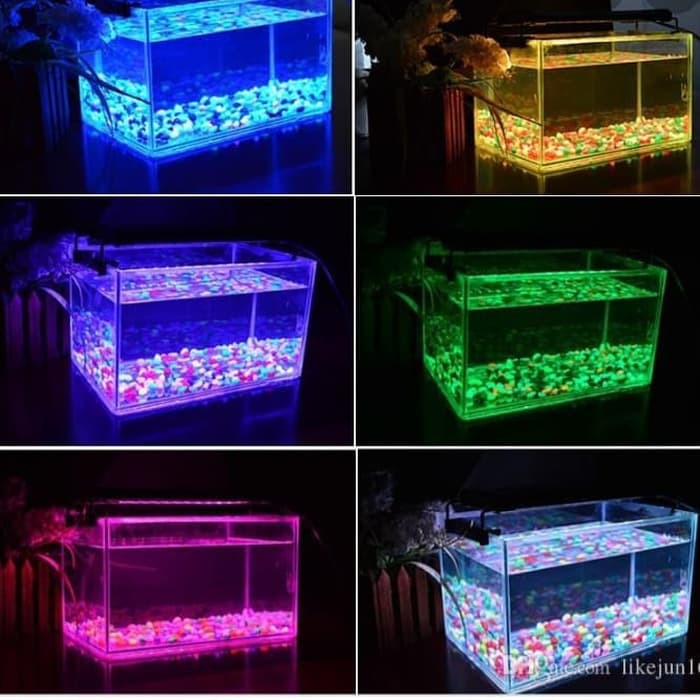 Lampu Aquarium Celup LED T4-LED40/TL Ikan Celup LED 6W Warna Colour