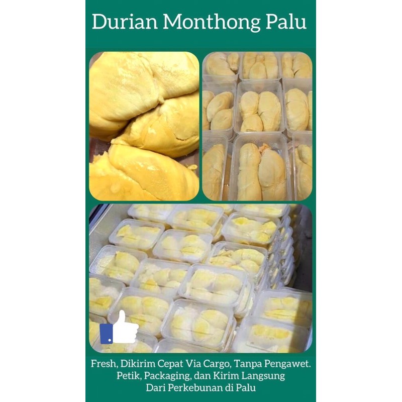 

durian monthong