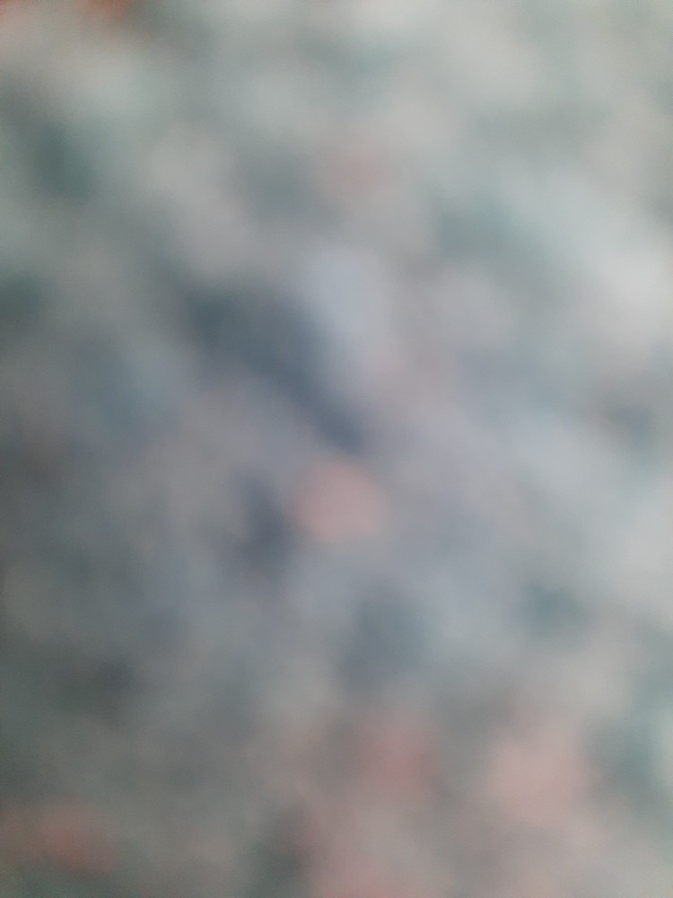 Pengasah Pisau Instan Long Handle Portable Dapur Buah Daging Batu