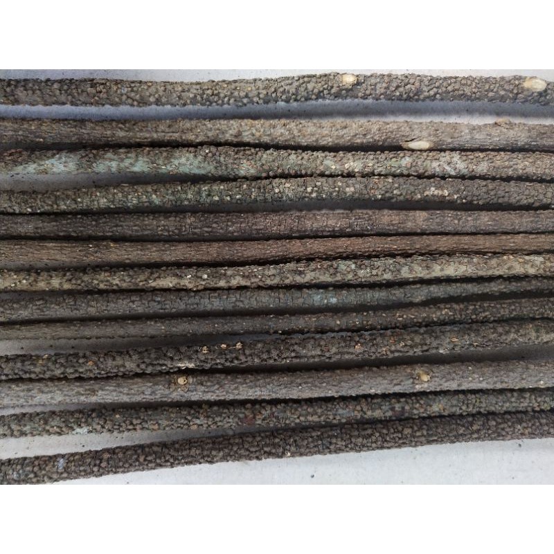 Tangkringan Pleci Kayu Asem Bali