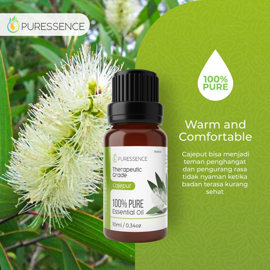 Cajeput Essential oil 10ml aromatherapy aromaterapi pure murni 100% Minyak Atsiri Pengharum Ruangan
