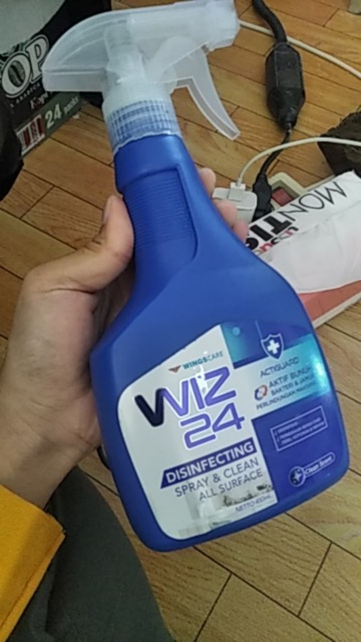 Wiz 24 Disinfectan Spray Btl 450 Ml