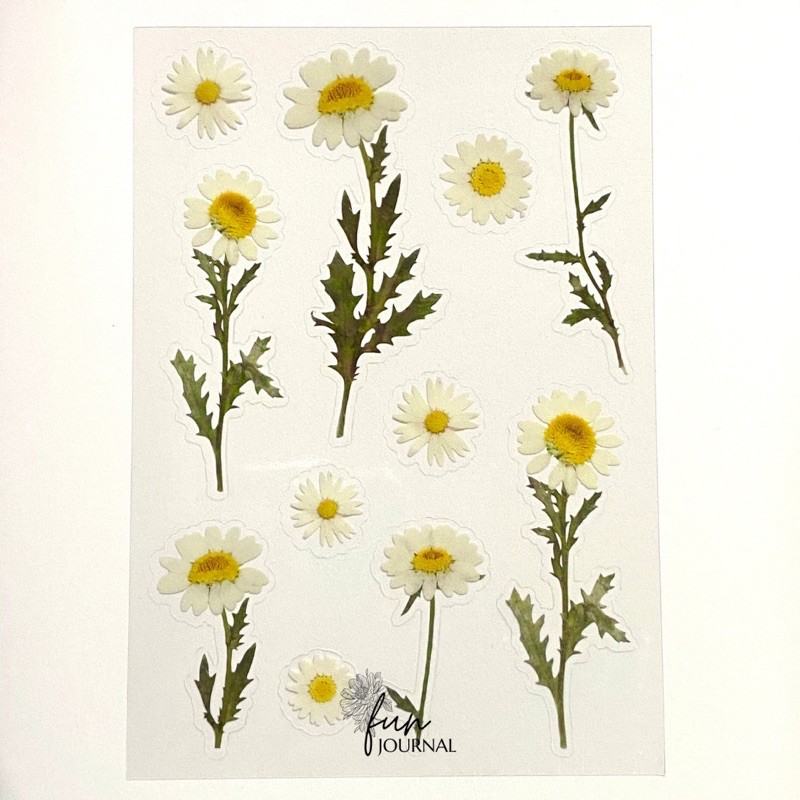 

STICKER TRANSPARANT FLOWERS AND LEAVES STIKER JOURNAL JURNAL PLANNING PLANNER SCRAPBOOK DIY BUJO